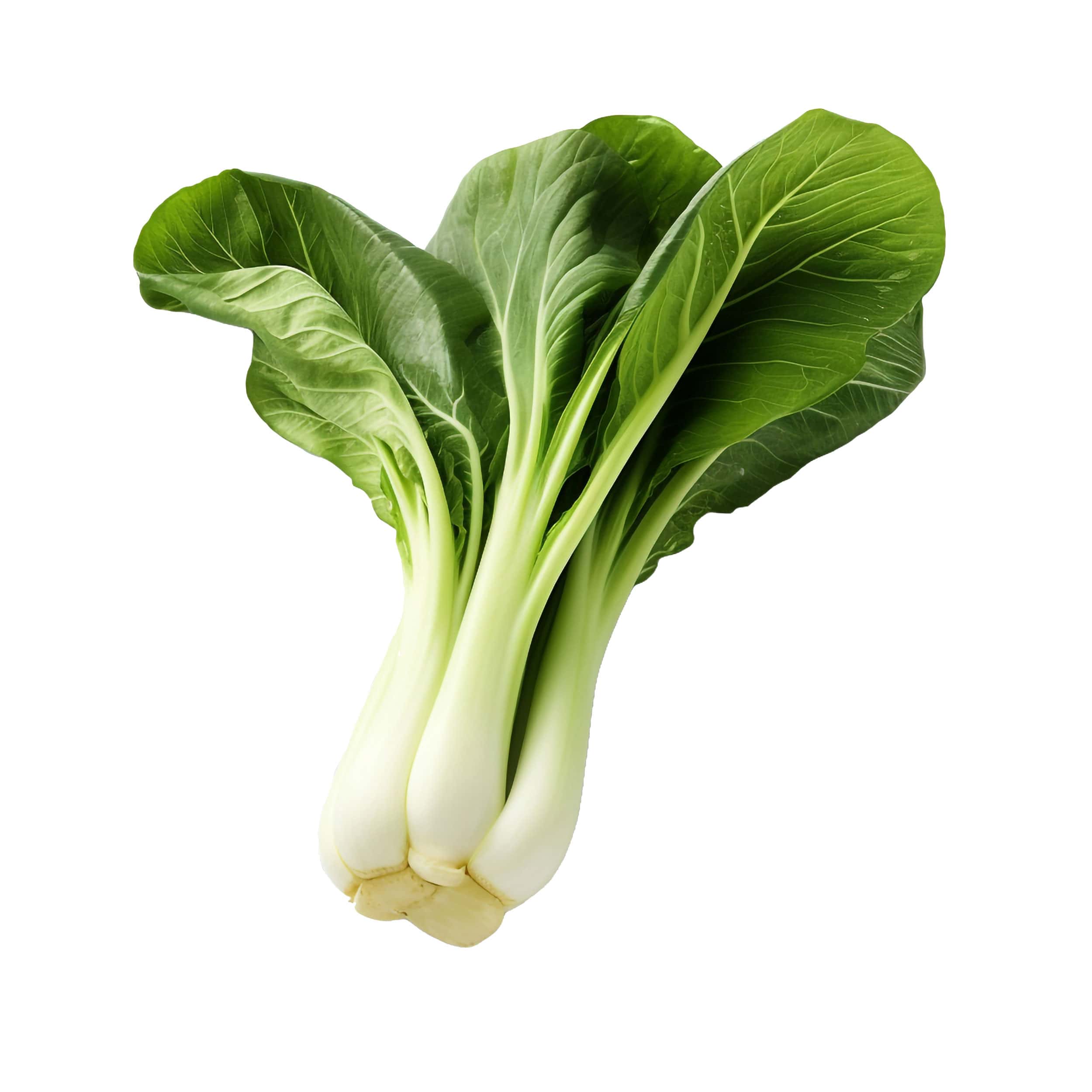 Bok Choy