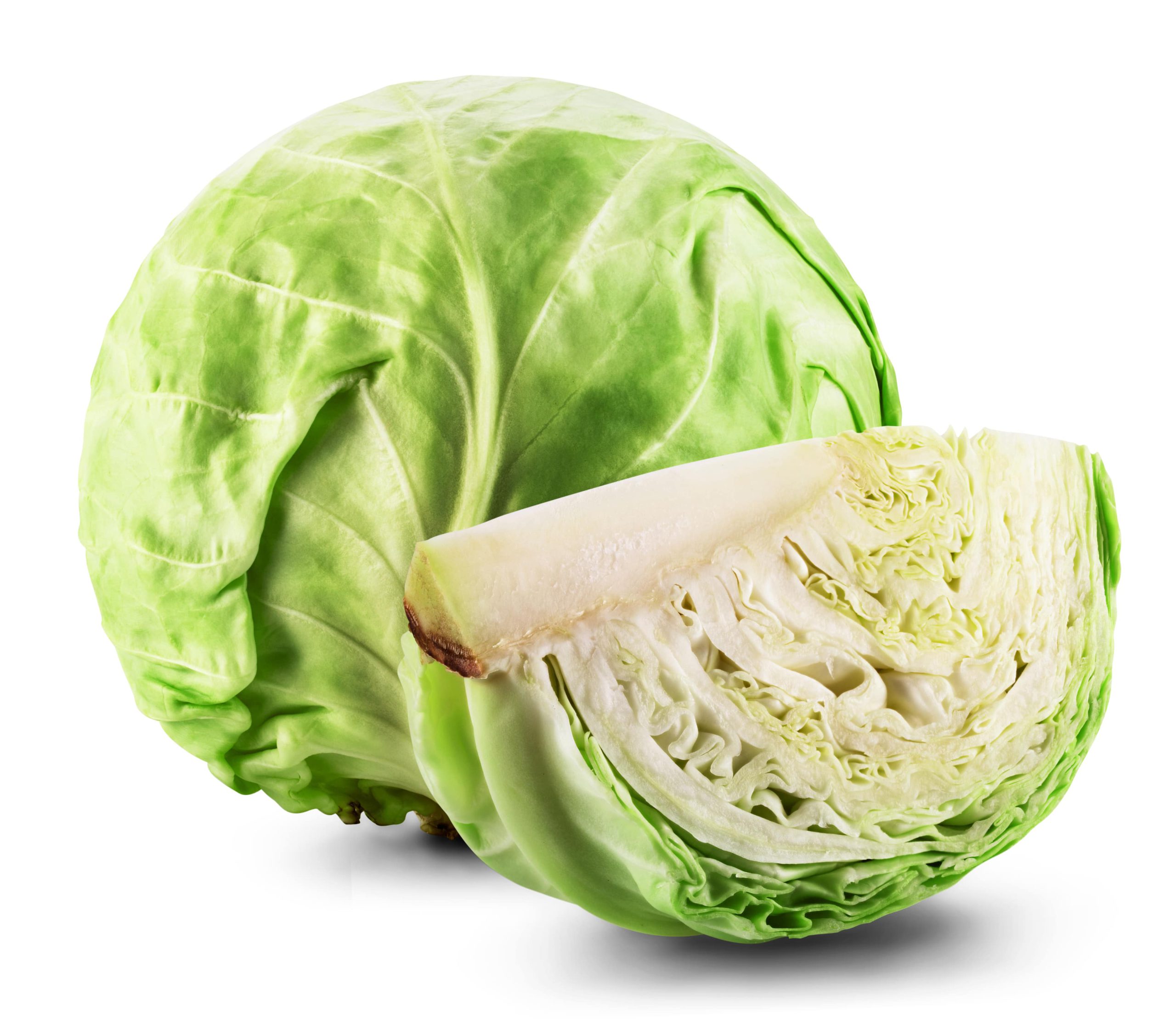 Cabbage