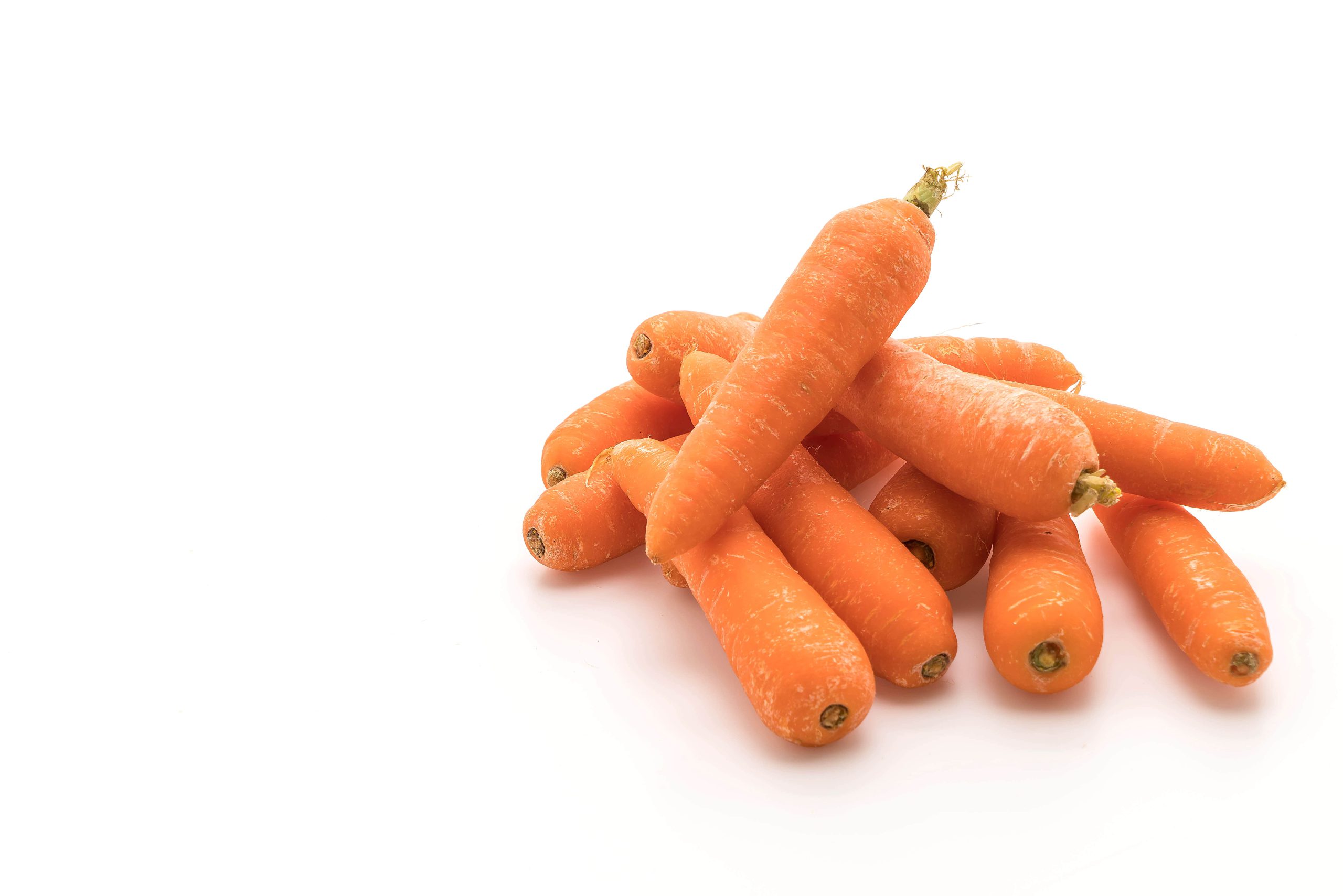 Carrot