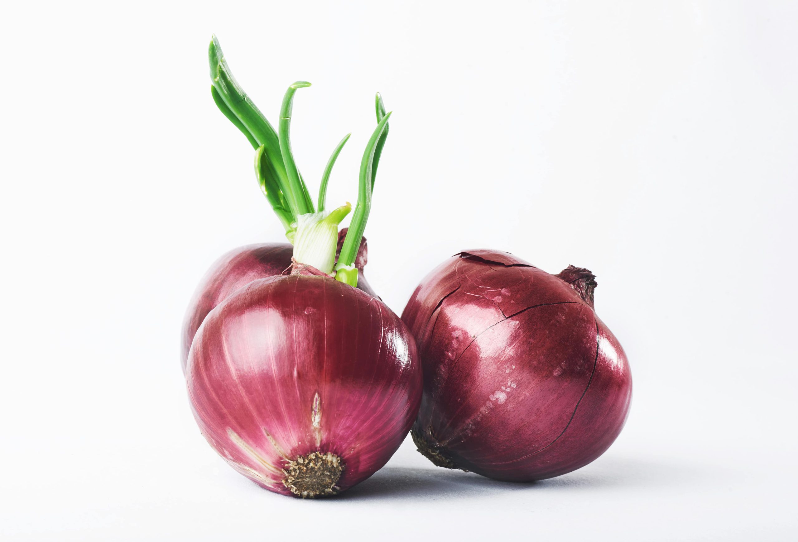 Red Onion