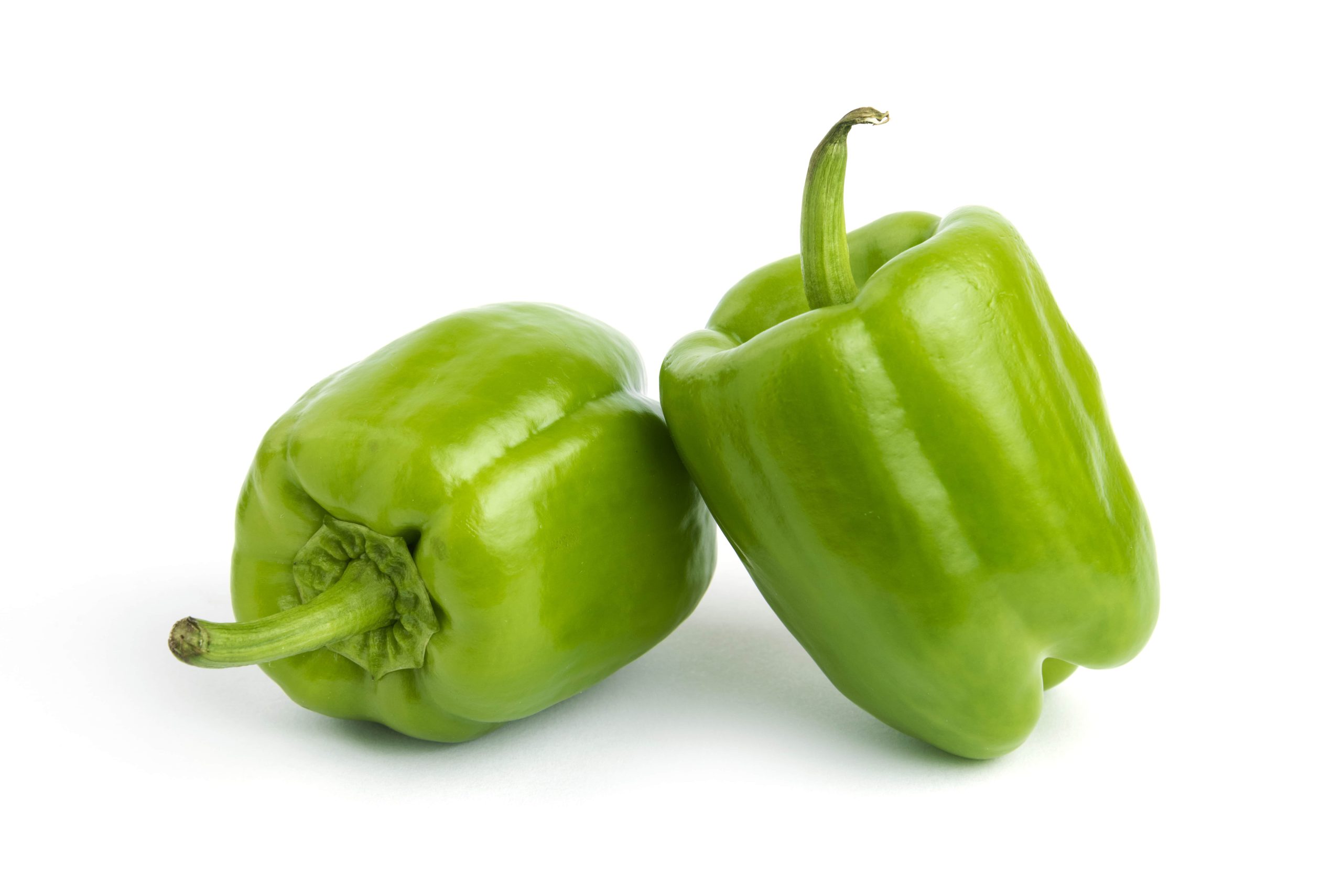 Capsicum