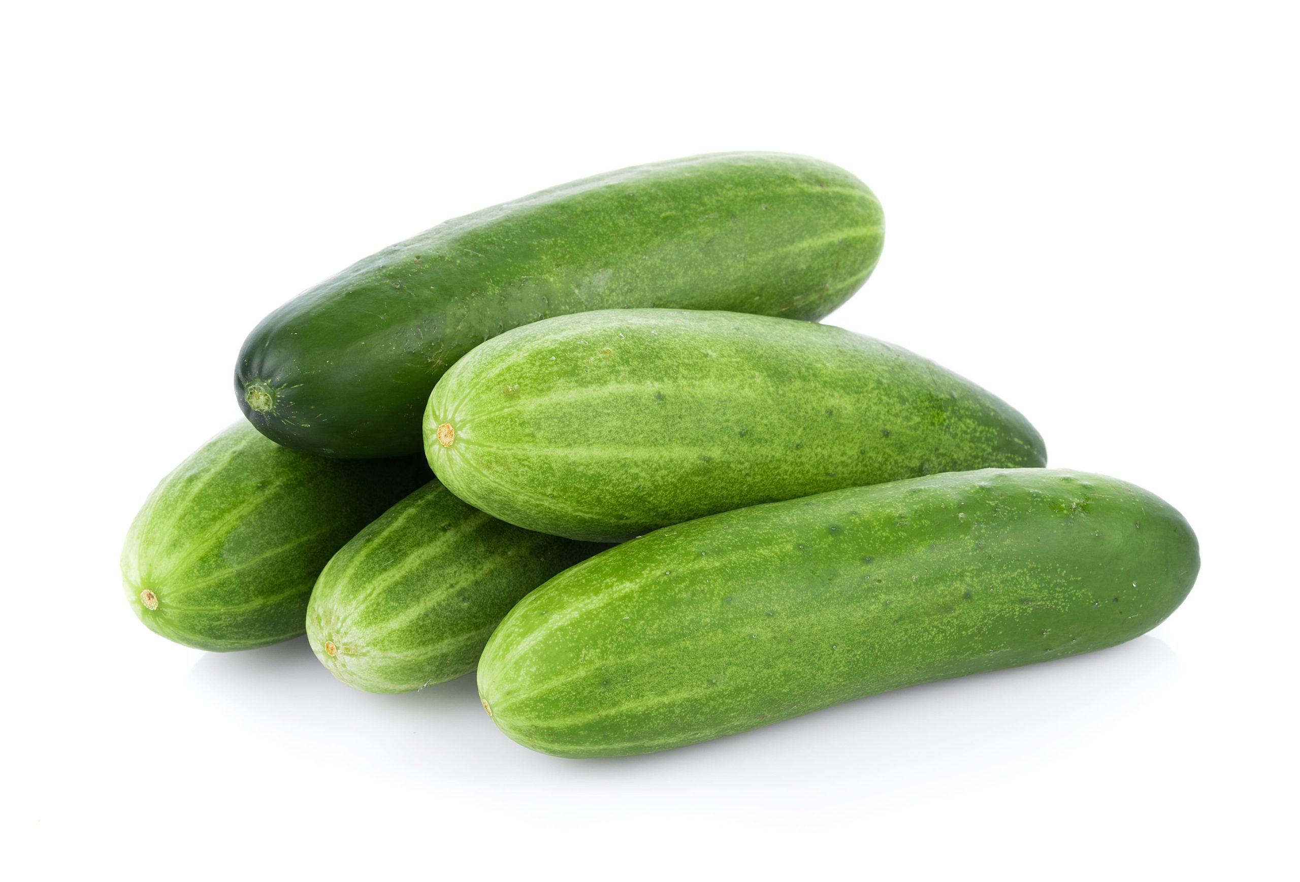 Cucumber